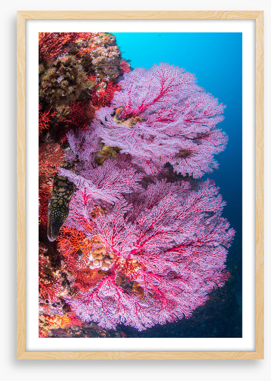 Underwater