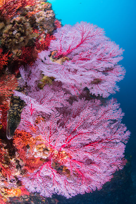 Underwater