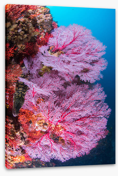 Underwater