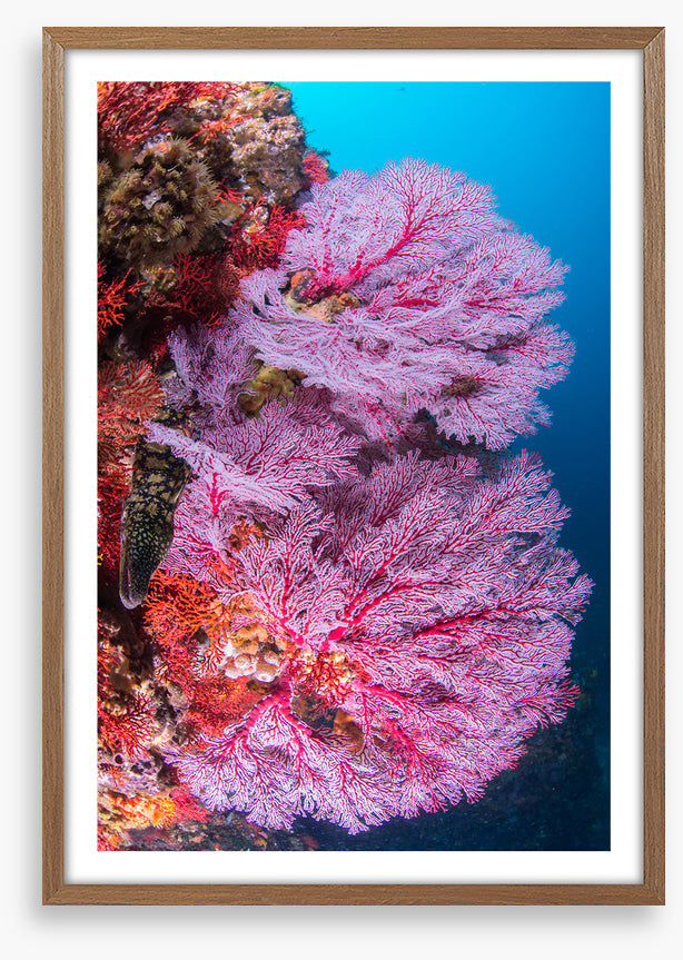 Underwater