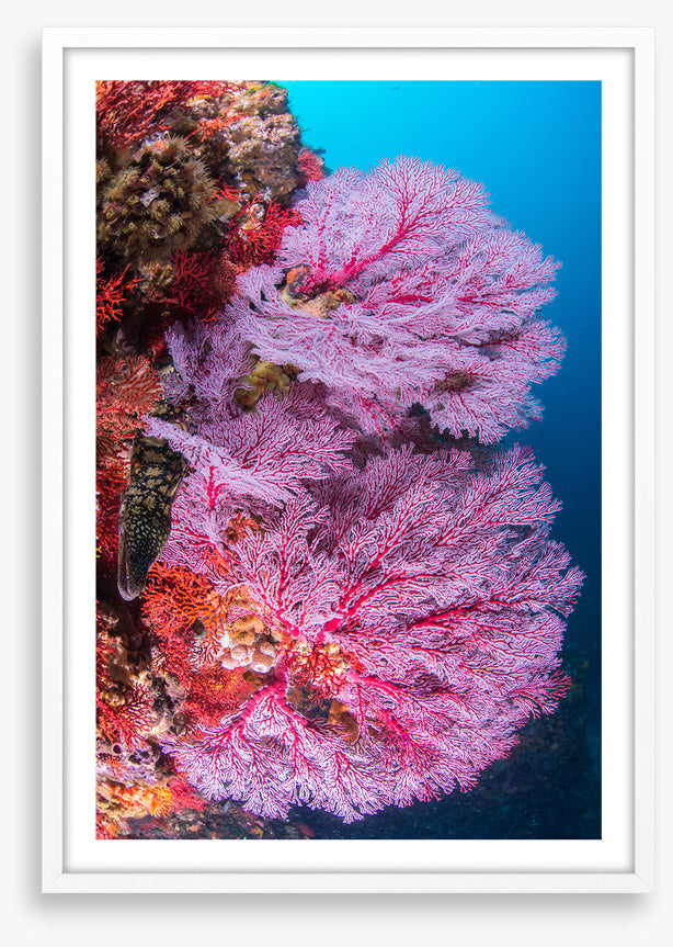 Underwater