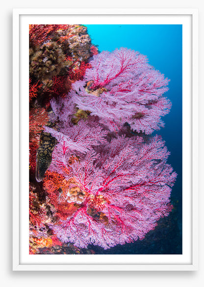 Underwater