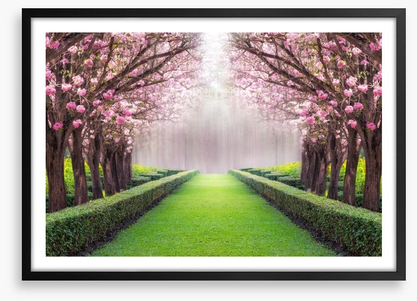 Between the blossom