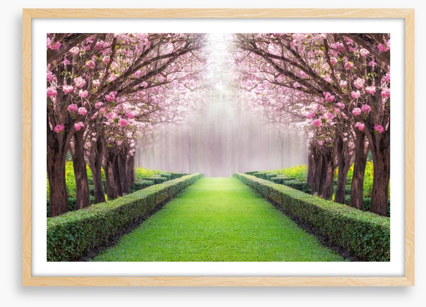 Between the blossom