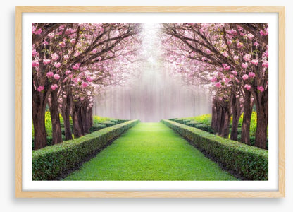 Between the blossom