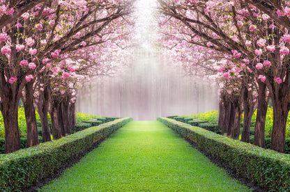 Between the blossom