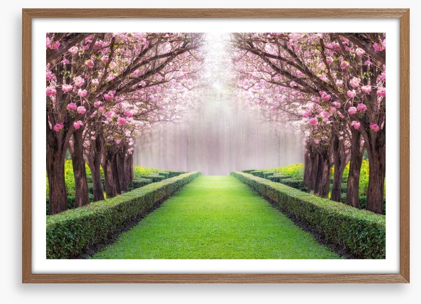 Between the blossom