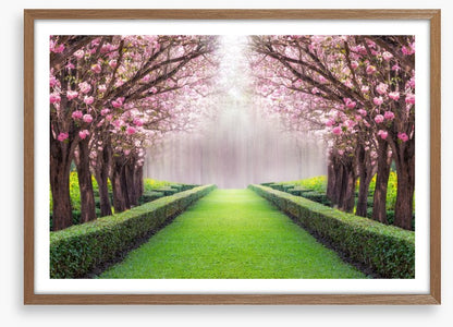 Between the blossom
