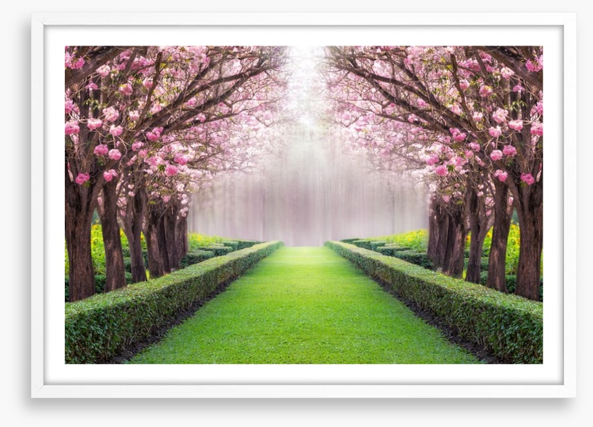 Between the blossom