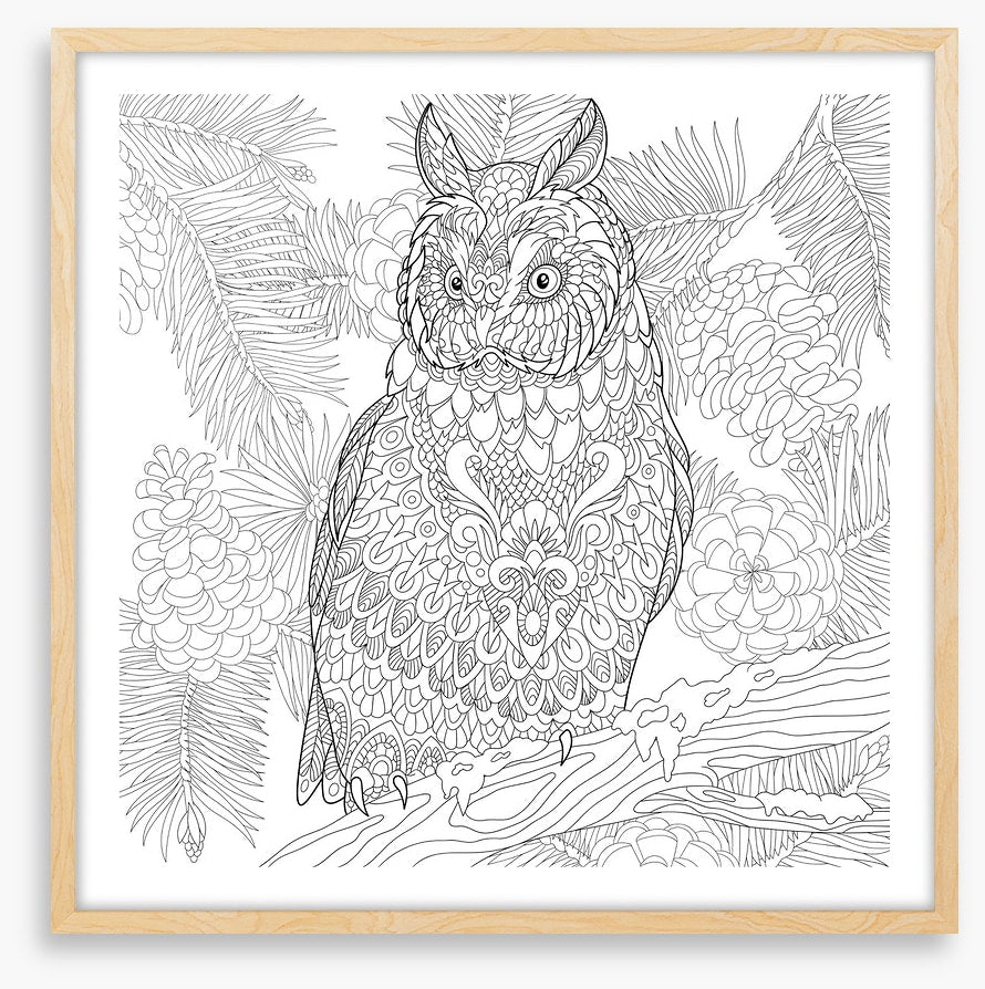 Colour me owl