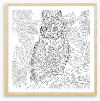 Colour me owl