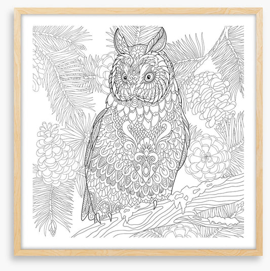 Colour me owl
