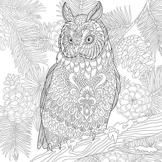 Colour me owl