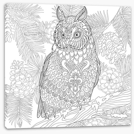 Colour me owl