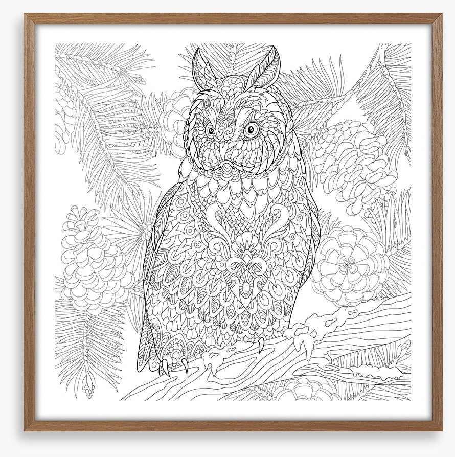 Colour me owl