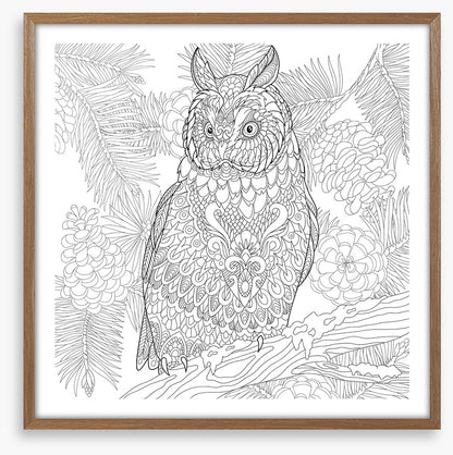 Colour me owl