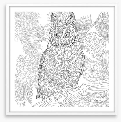 Colour me owl