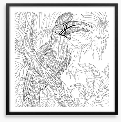 Colour me hornbill