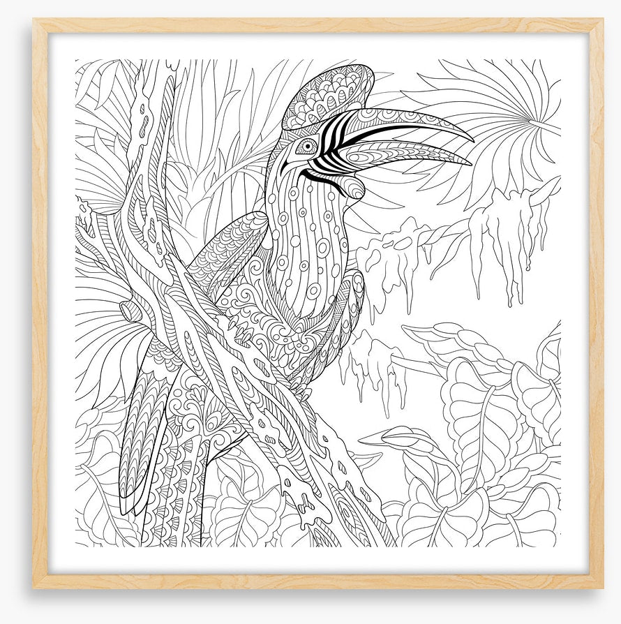 Colour me hornbill