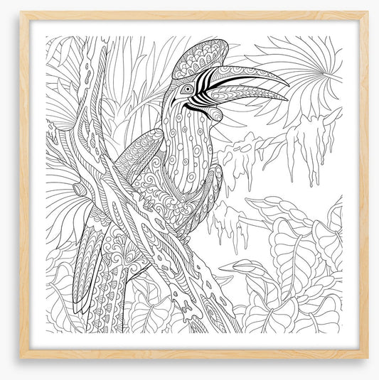 Colour me hornbill