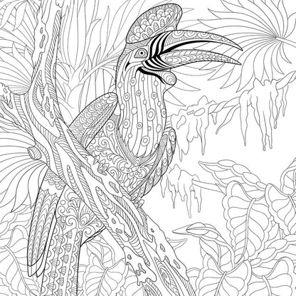 Colour me hornbill
