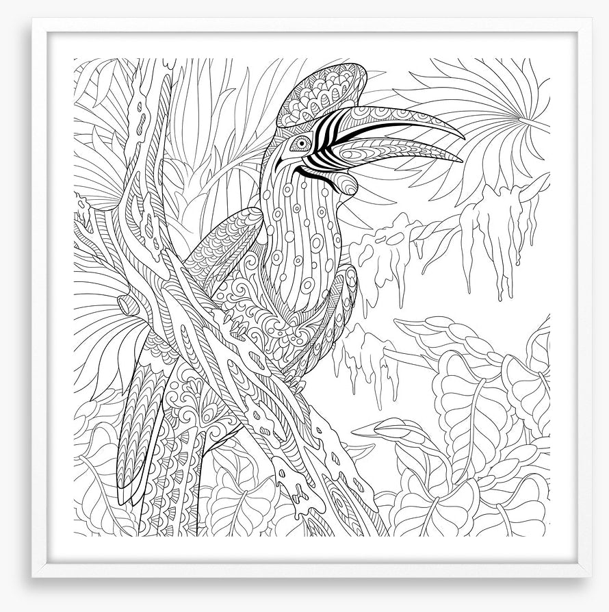 Colour me hornbill