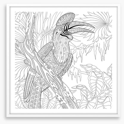 Colour me hornbill