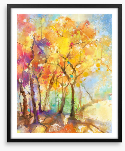 Spectrum of the season