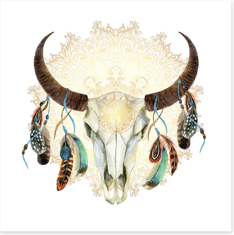 Boho buffalo