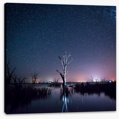 Starlight shadows