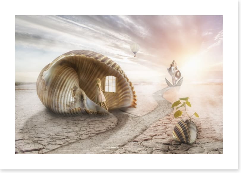 The shell dream