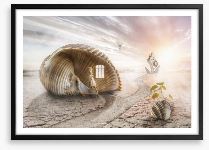 The shell dream