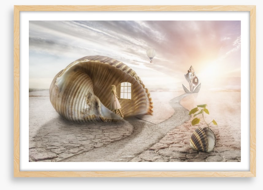 The shell dream