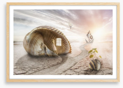 The shell dream