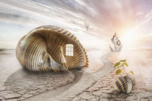 The shell dream