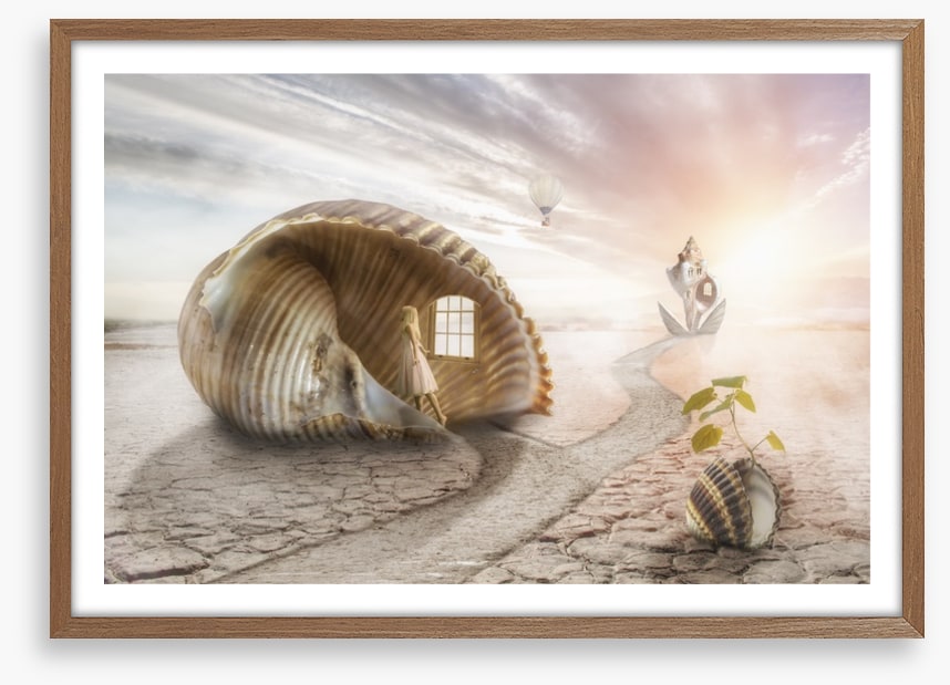 The shell dream