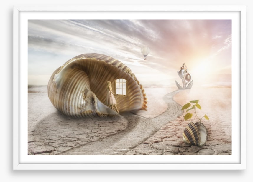 The shell dream