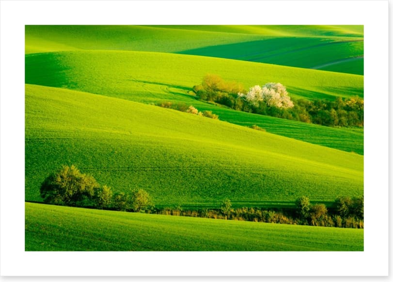 Rolling green