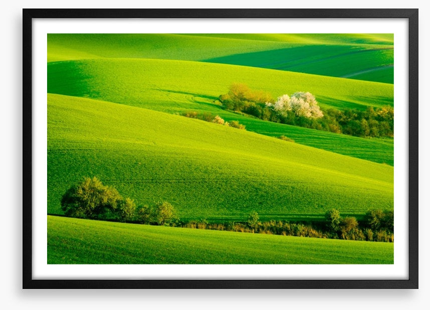 Rolling green