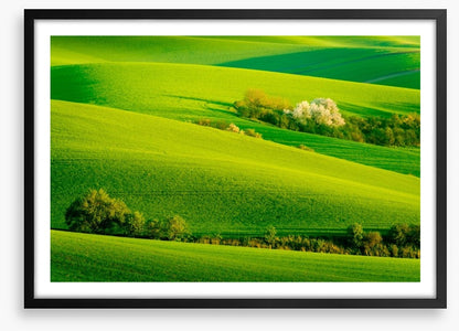 Rolling green