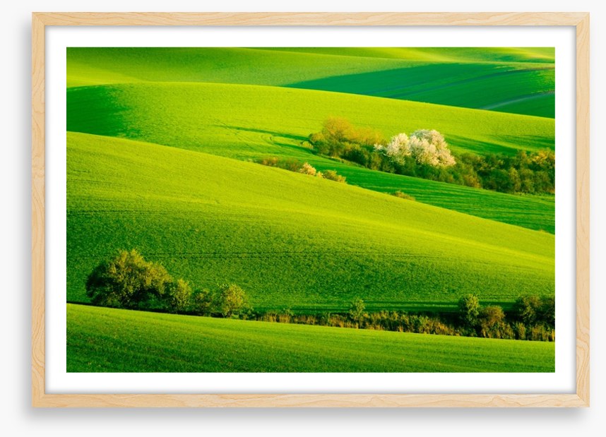 Rolling green