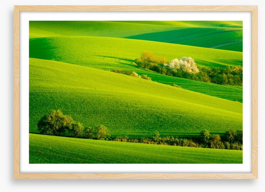 Rolling green