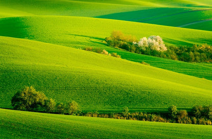 Rolling green