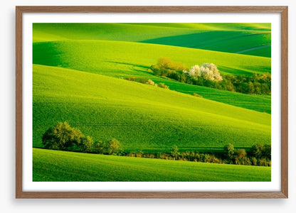Rolling green