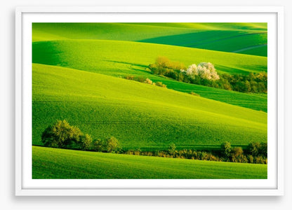 Rolling green