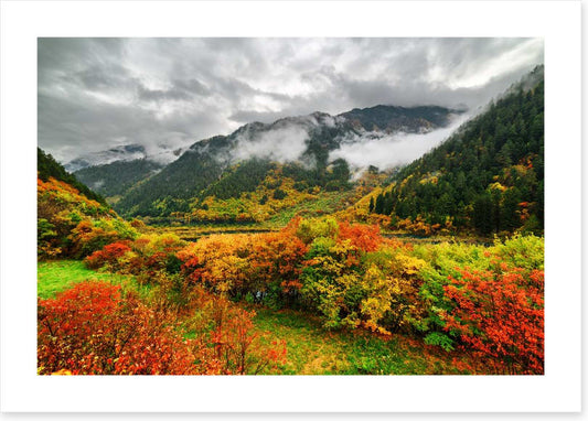 Fallen clouds