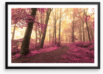 Forest blush
