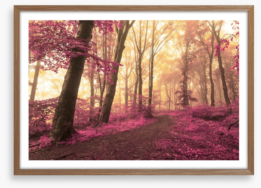 Forest blush