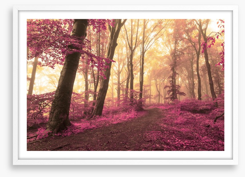 Forest blush