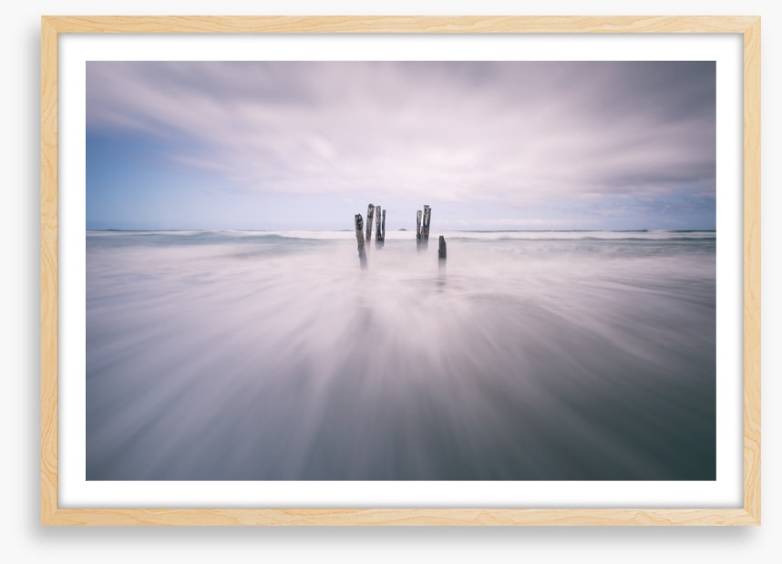 Dunedin dawn